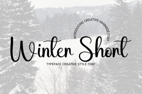 Enhance Your Brand with Winter Short Font